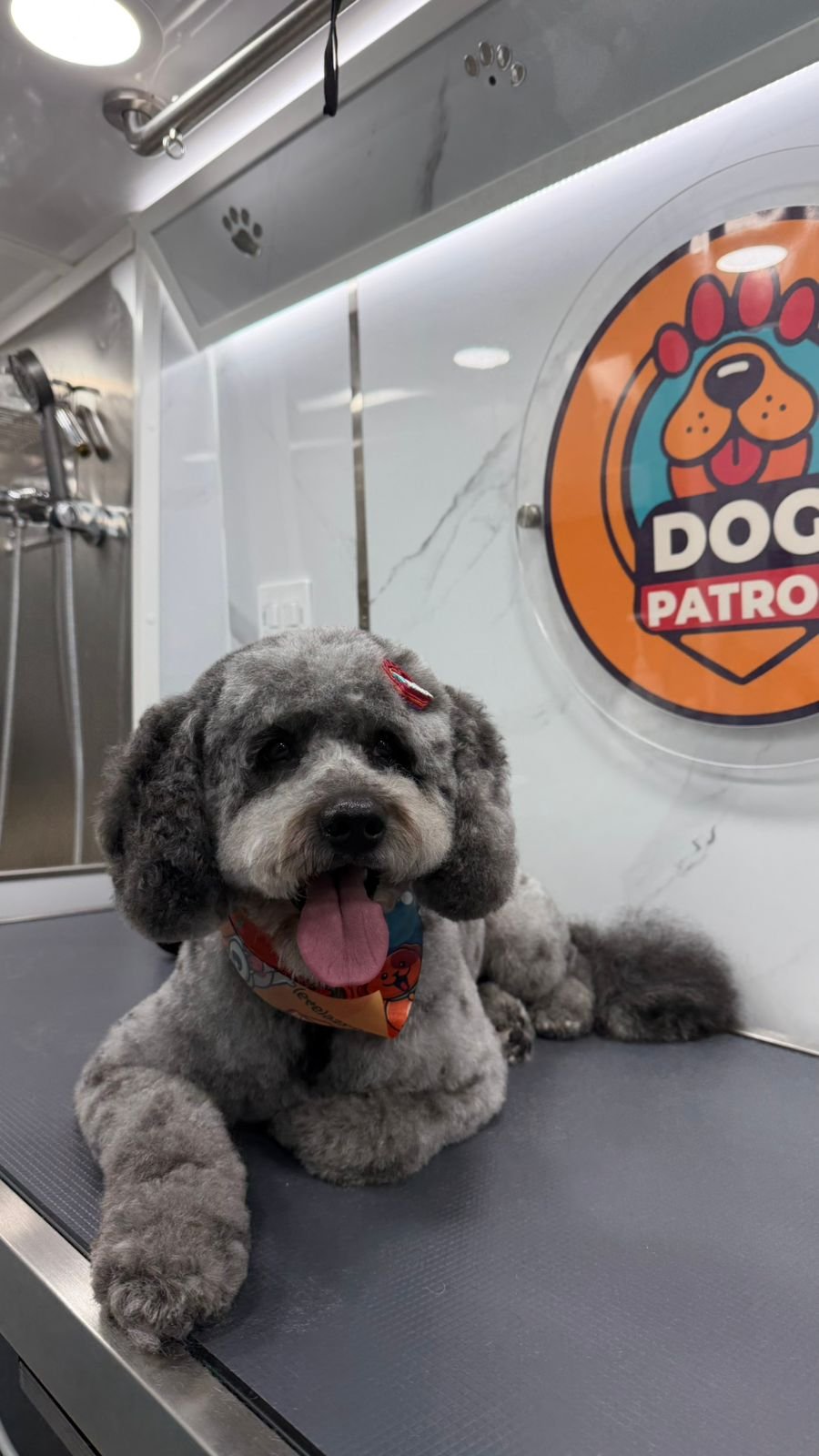 WhatsApp Image 2026-03-23 at 06.12.53