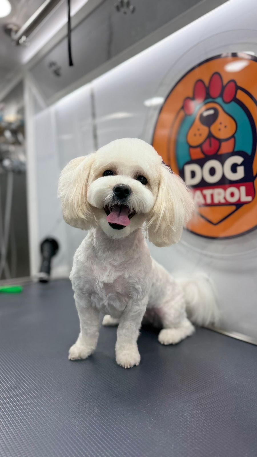 WhatsApp Image 2026-03-23 at 06.12.54 (2)