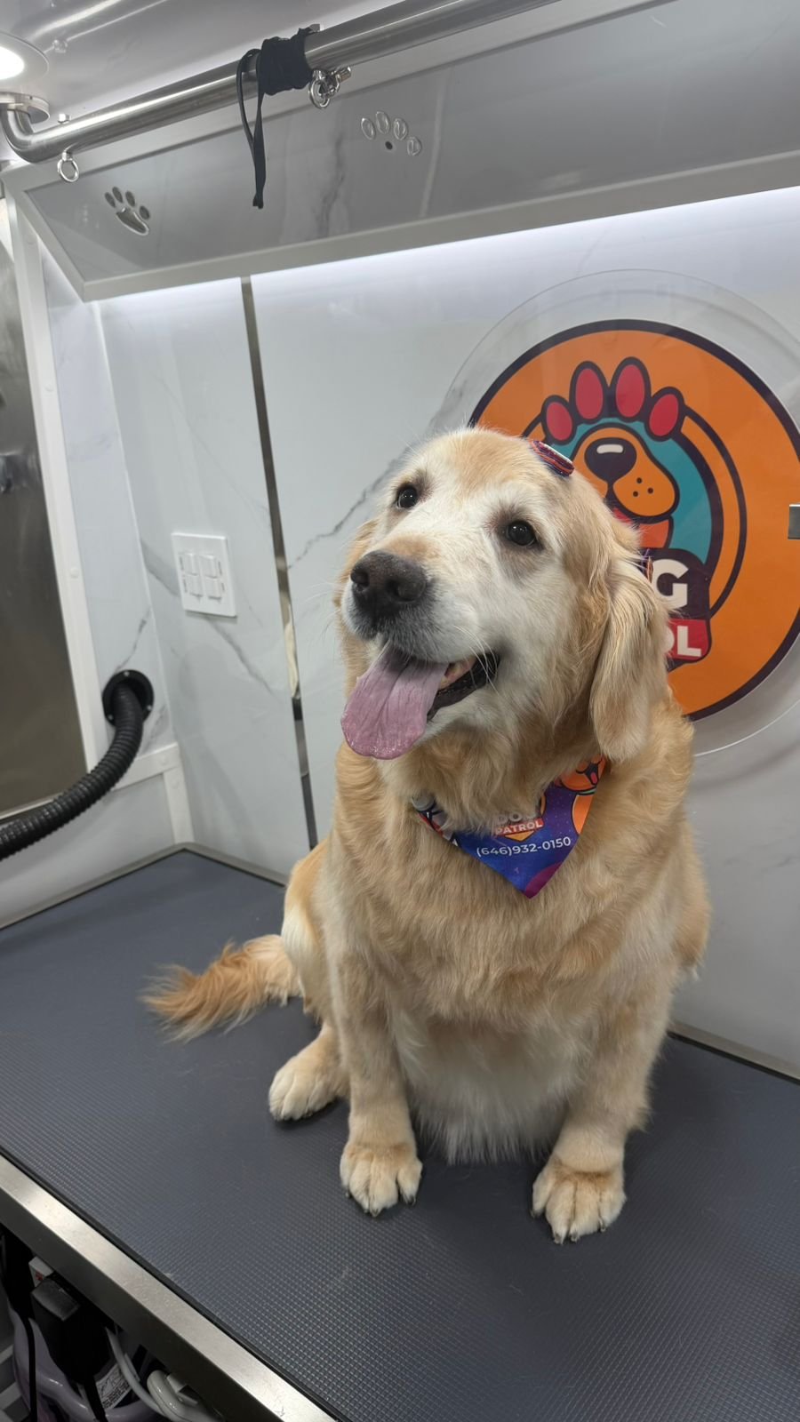 WhatsApp Image 2026-03-23 at 06.12.54 (3)