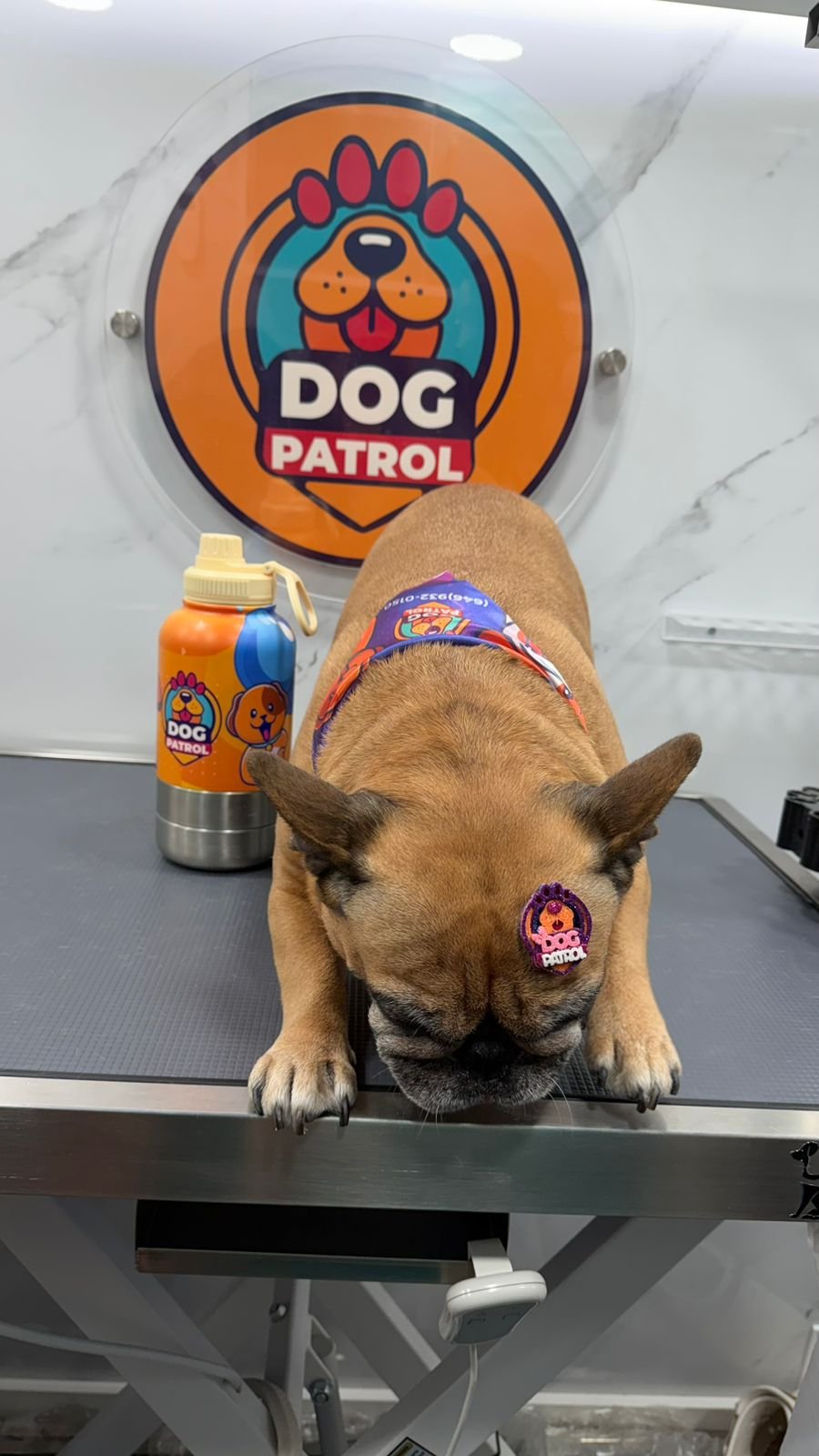 WhatsApp Image 2026-03-23 at 06.12.54