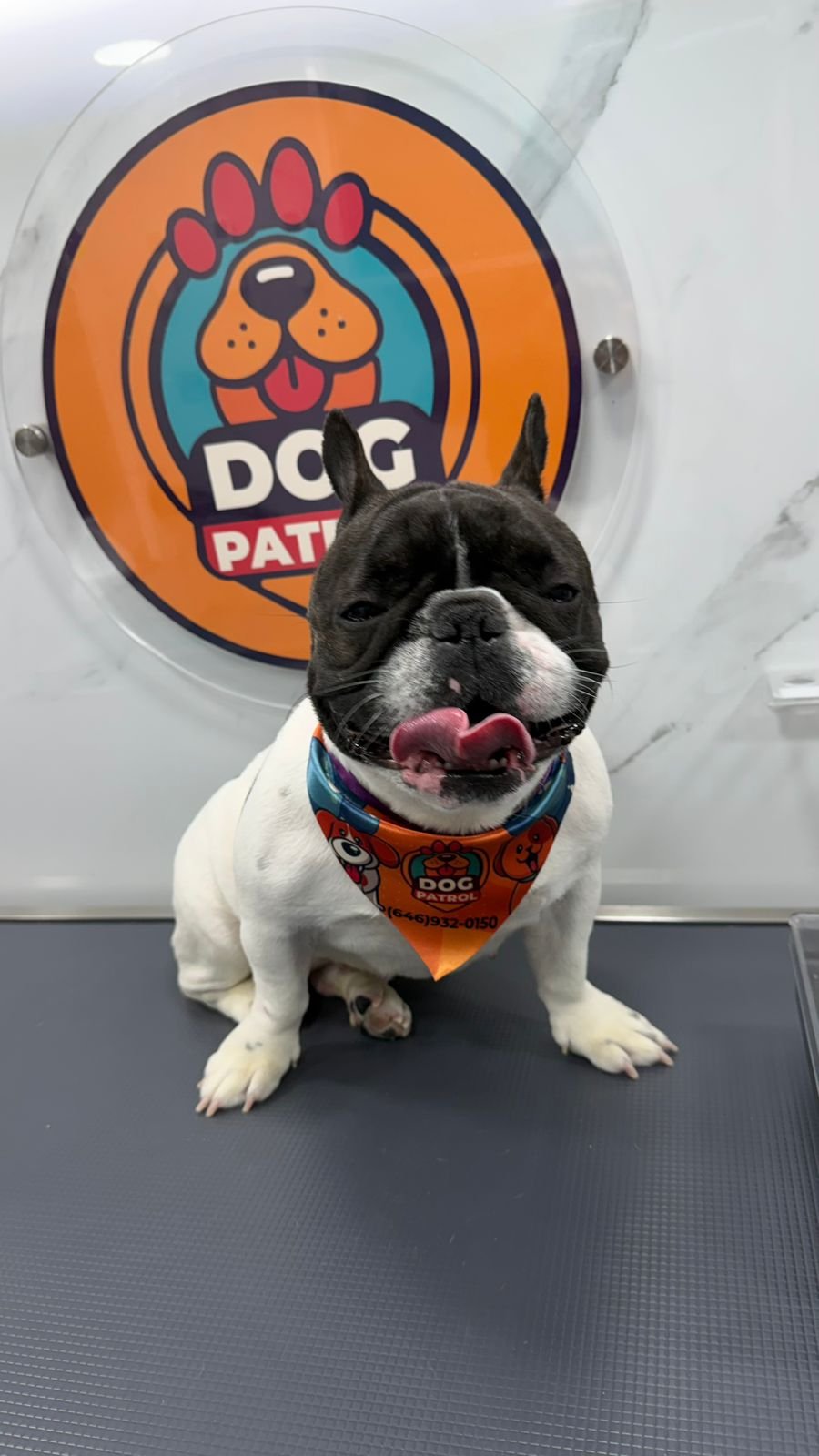 WhatsApp Image 2026-03-23 at 06.12.56 (1)