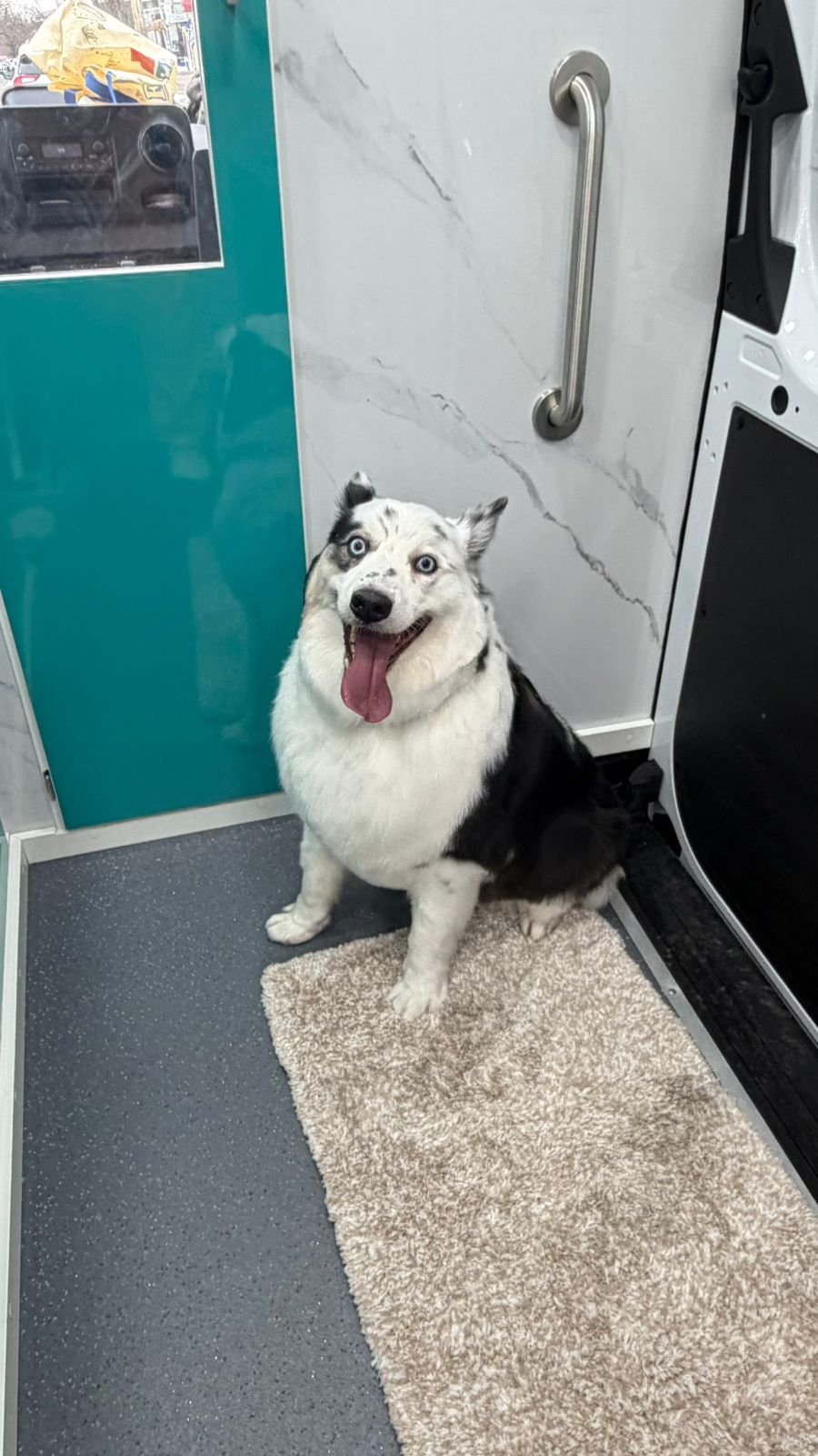 WhatsApp Image 2026-03-23 at 06.12.56 (2)