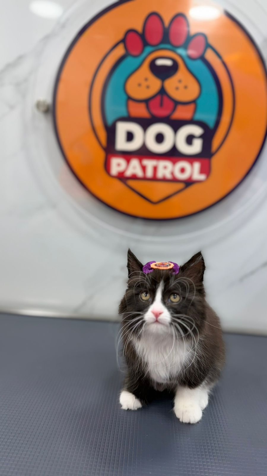 WhatsApp Image 2026-03-23 at 06.12.56 (3)