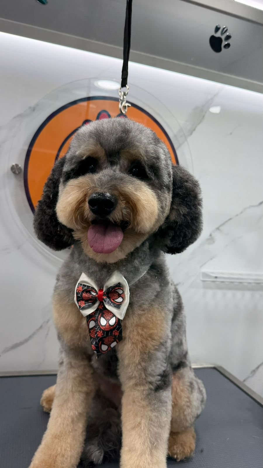 WhatsApp Image 2026-03-23 at 06.12.56 (4)