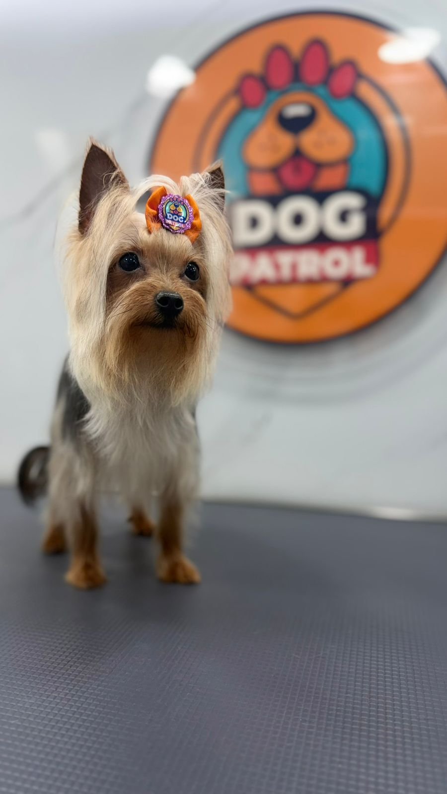 WhatsApp Image 2026-03-23 at 06.12.56 (5)