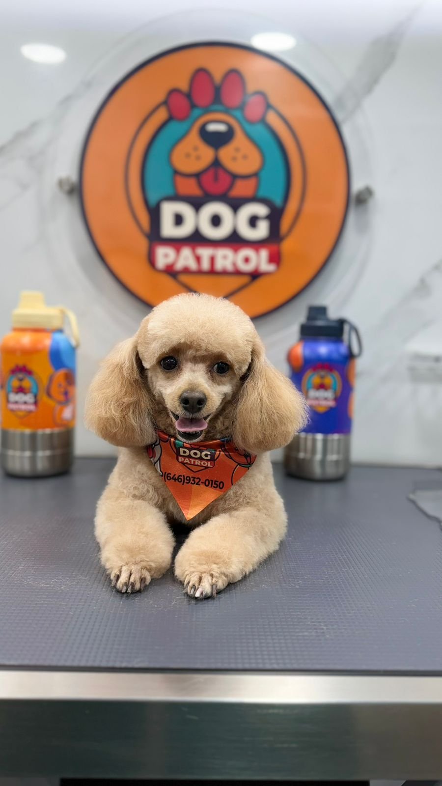 WhatsApp Image 2026-03-23 at 06.12.56