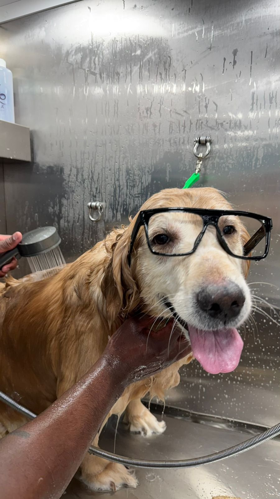 WhatsApp Image 2026-03-23 at 06.12.57 (1)