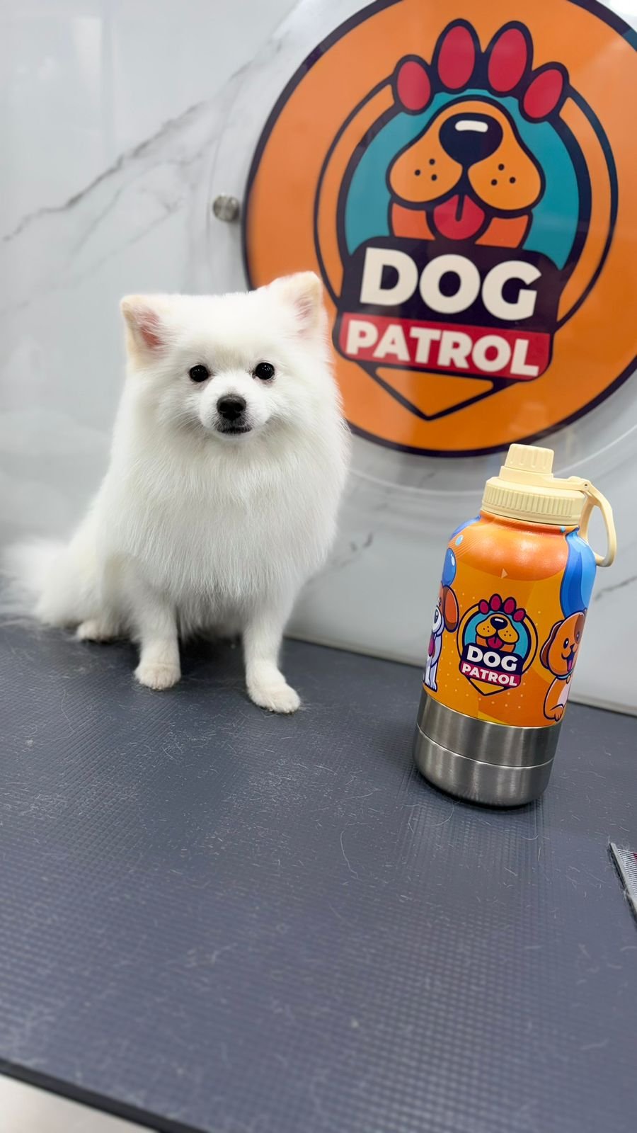 WhatsApp Image 2026-03-23 at 06.12.57 (2)