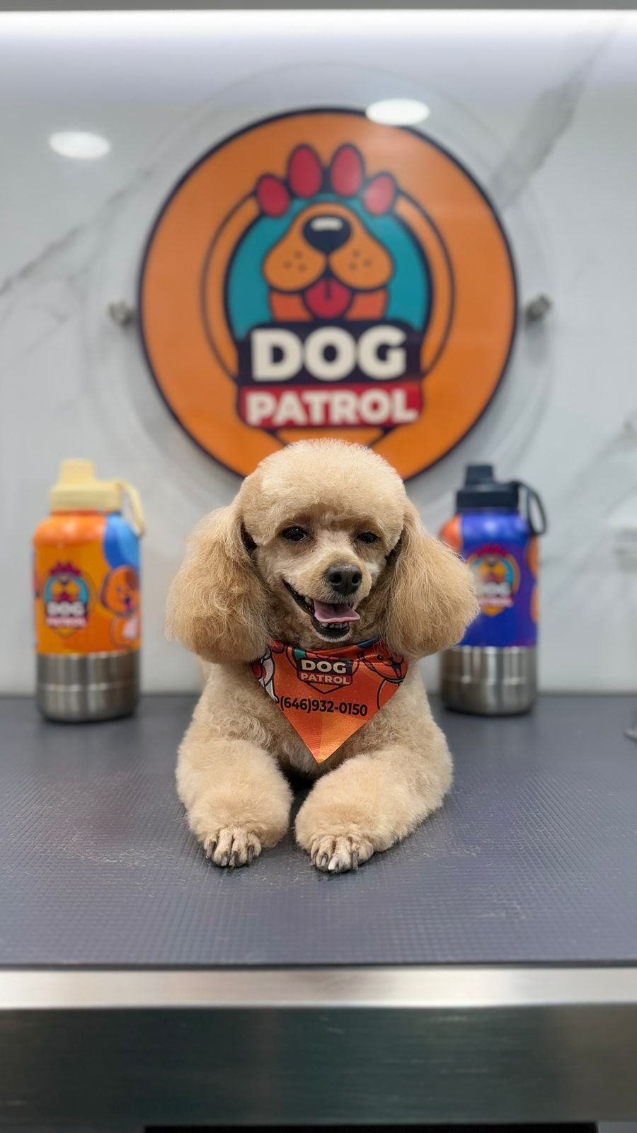 WhatsApp Image 2026-03-23 at 06.12.57 (3)