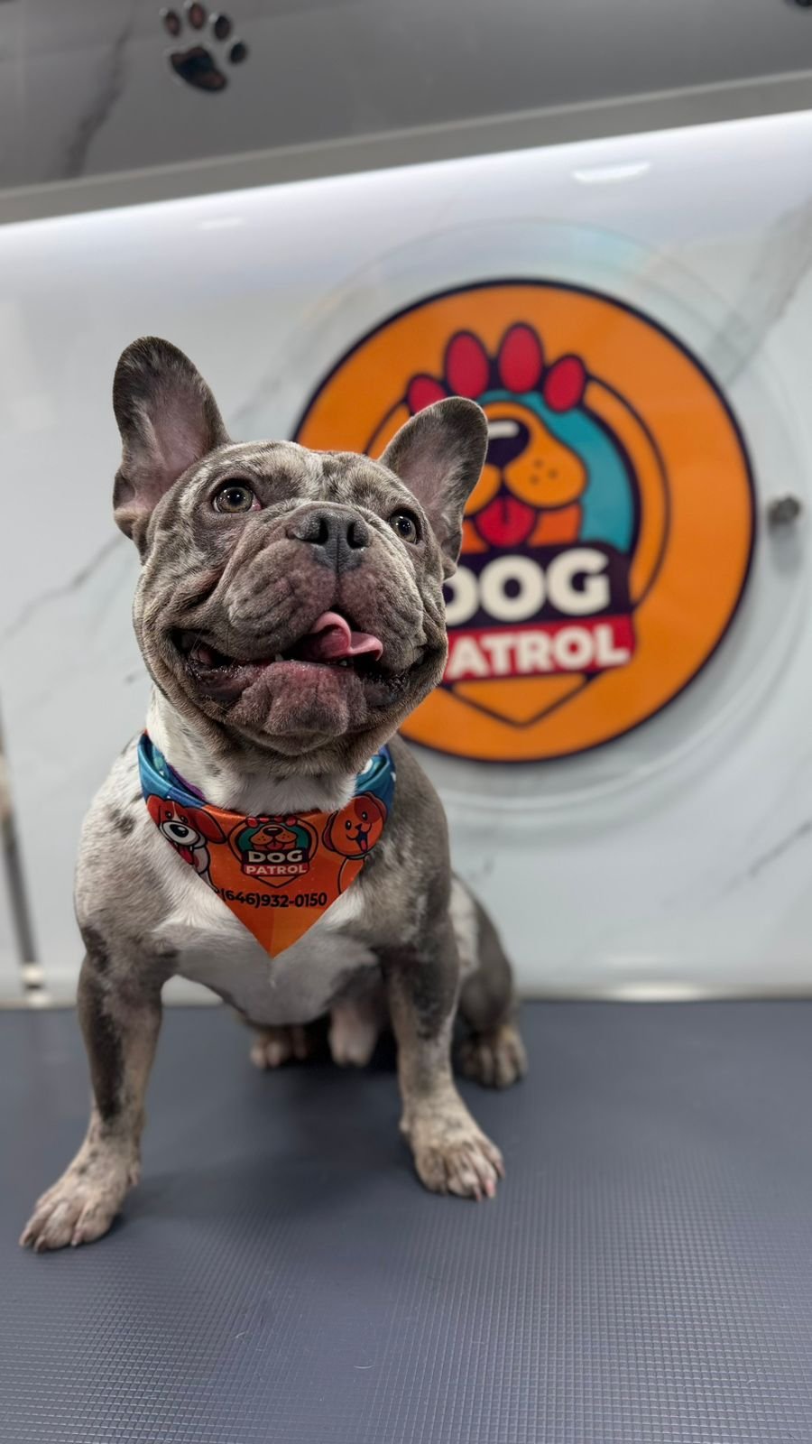 WhatsApp Image 2026-03-23 at 06.12.57