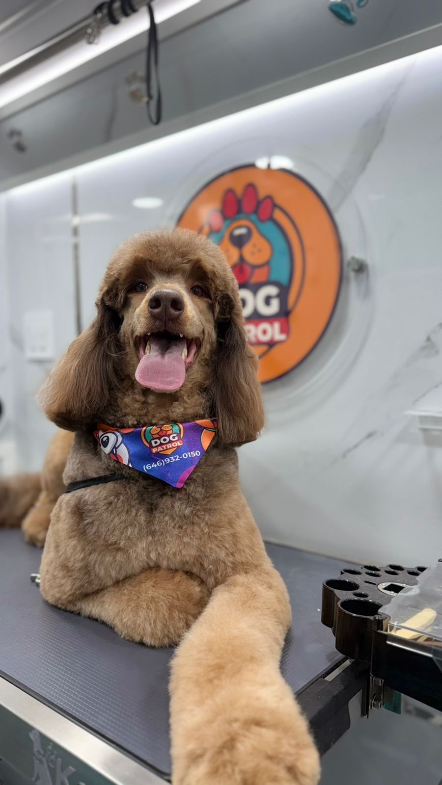 WhatsApp Image 2026-03-23 at 06.12.58 (1)