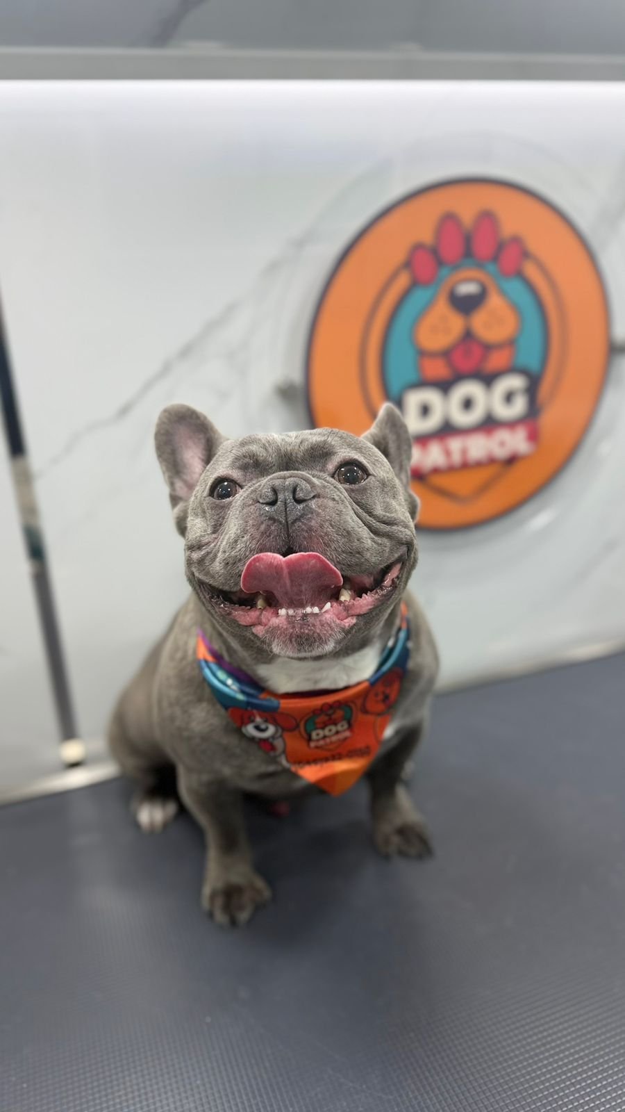 WhatsApp Image 2026-03-23 at 06.12.59