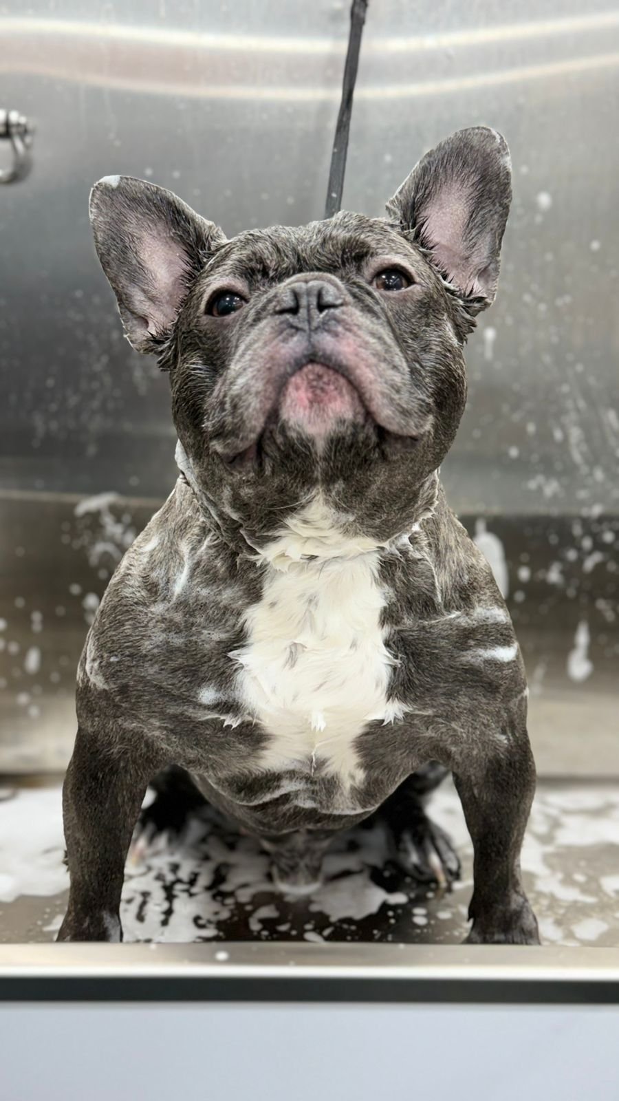 WhatsApp Image 2026-03-23 at 06.13.00