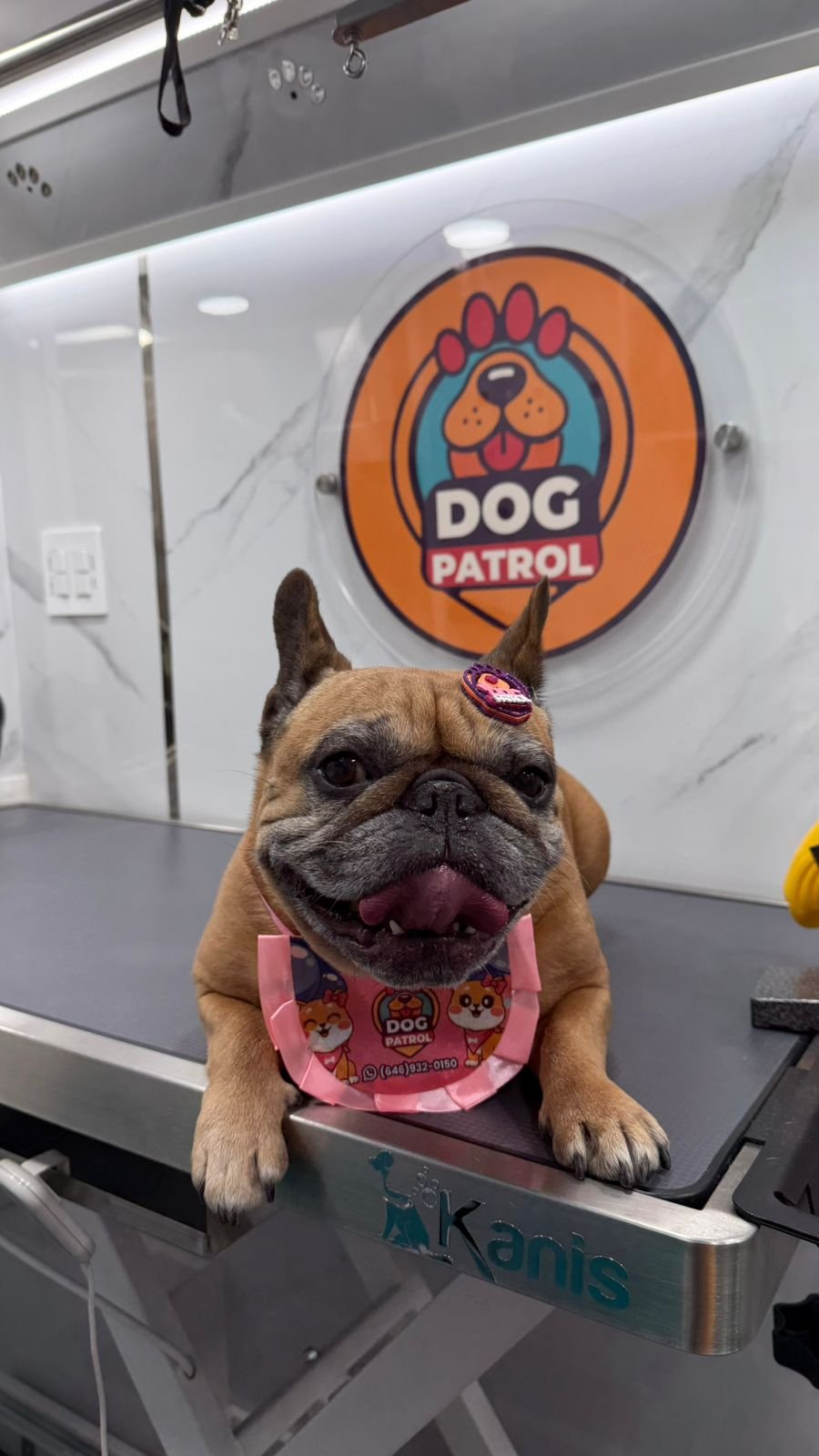 WhatsApp Image 2026-03-24 at 09.52.14