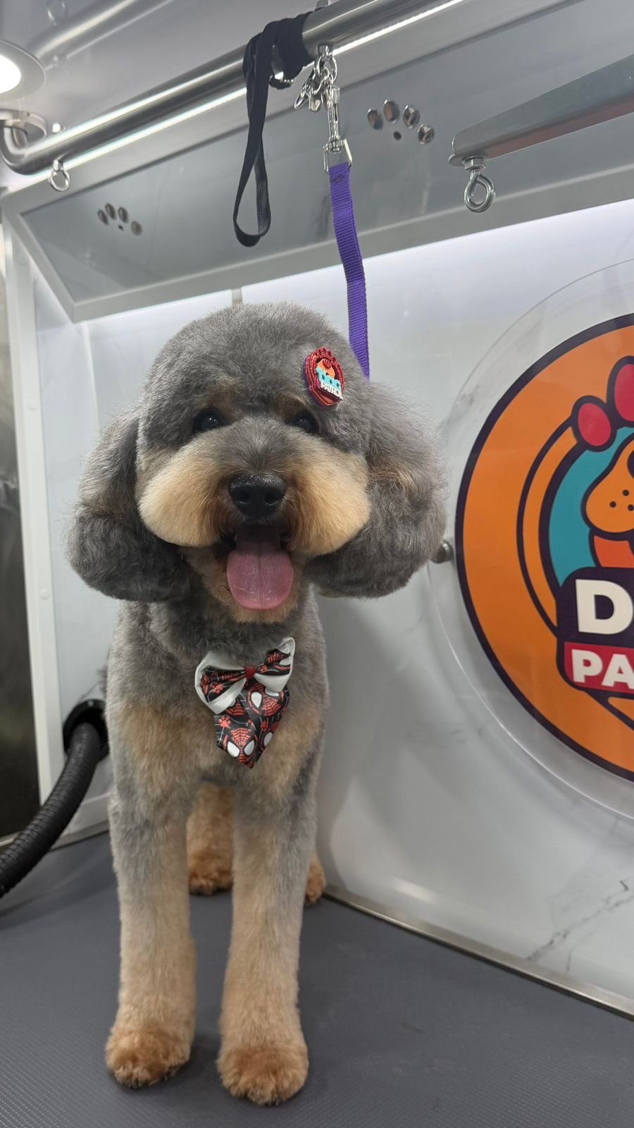 WhatsApp Image 2026-03-24 at 09.52.29