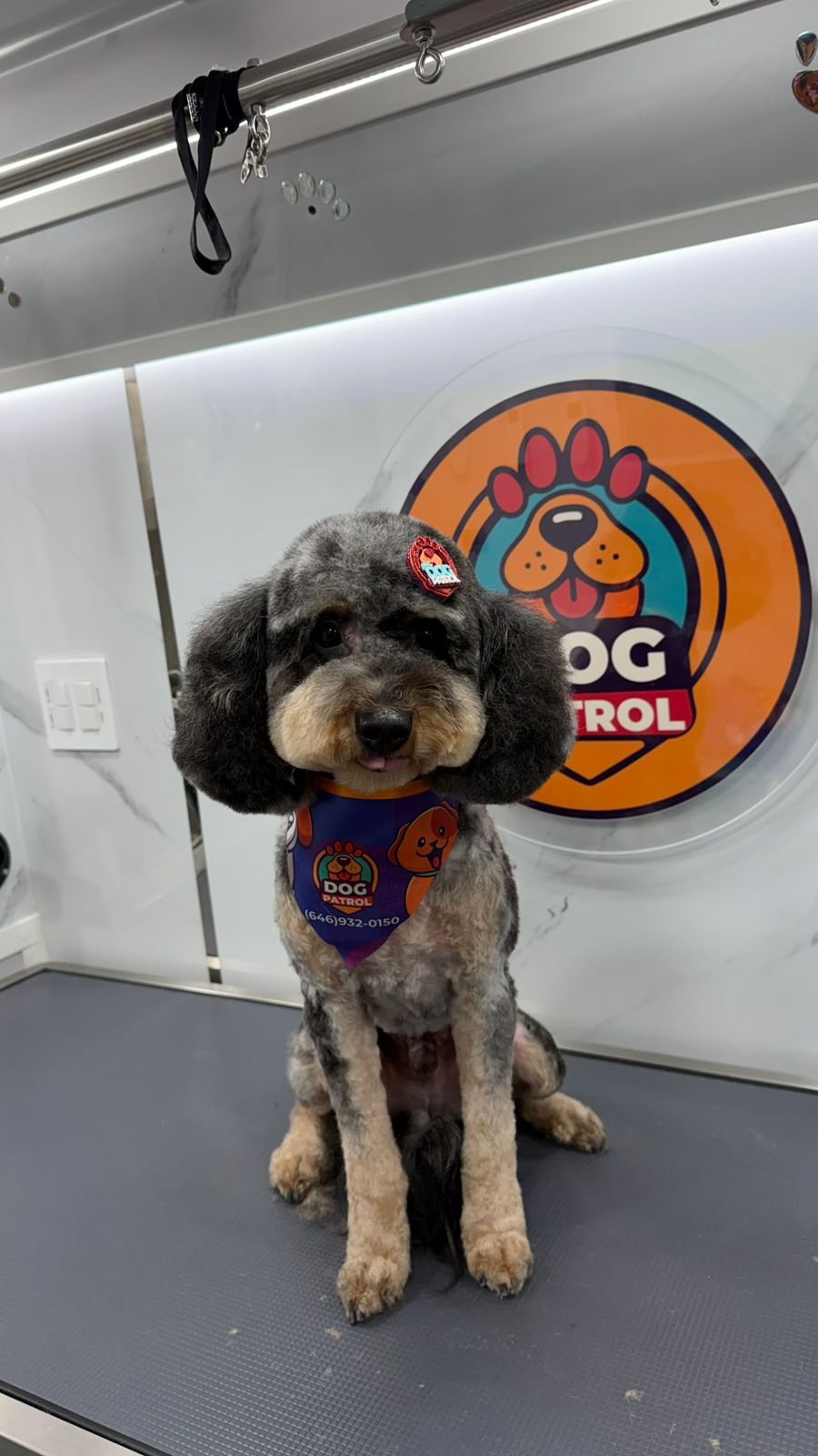 WhatsApp Image 2026-03-24 at 09.52.39