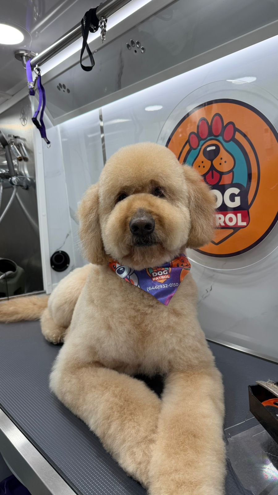 WhatsApp Image 2026-03-24 at 09.52.56