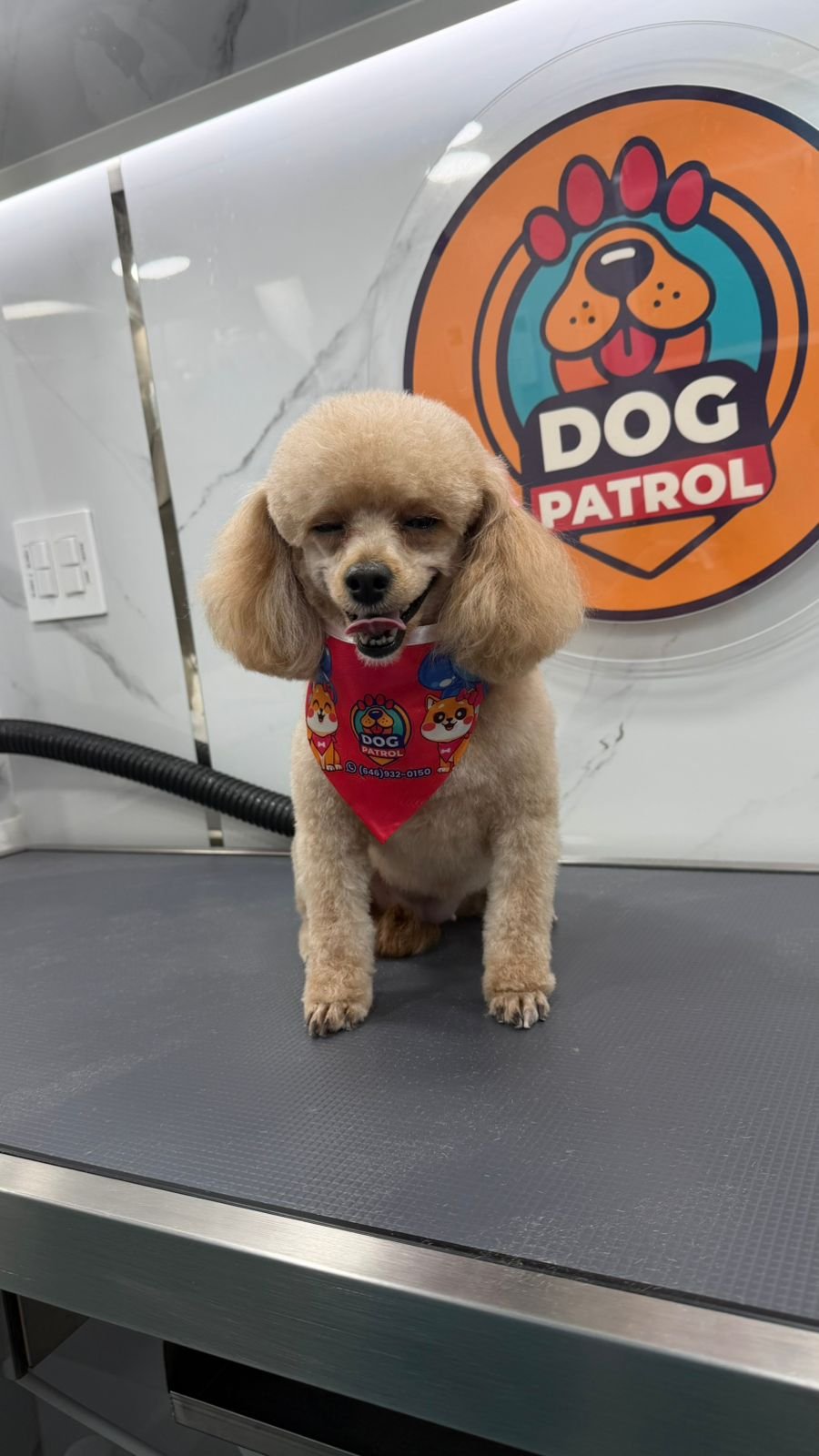 WhatsApp Image 2026-04-02 at 11.01.14 (1)