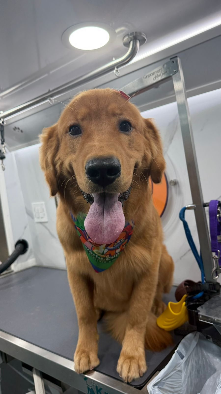 WhatsApp Image 2026-04-02 at 11.01.14