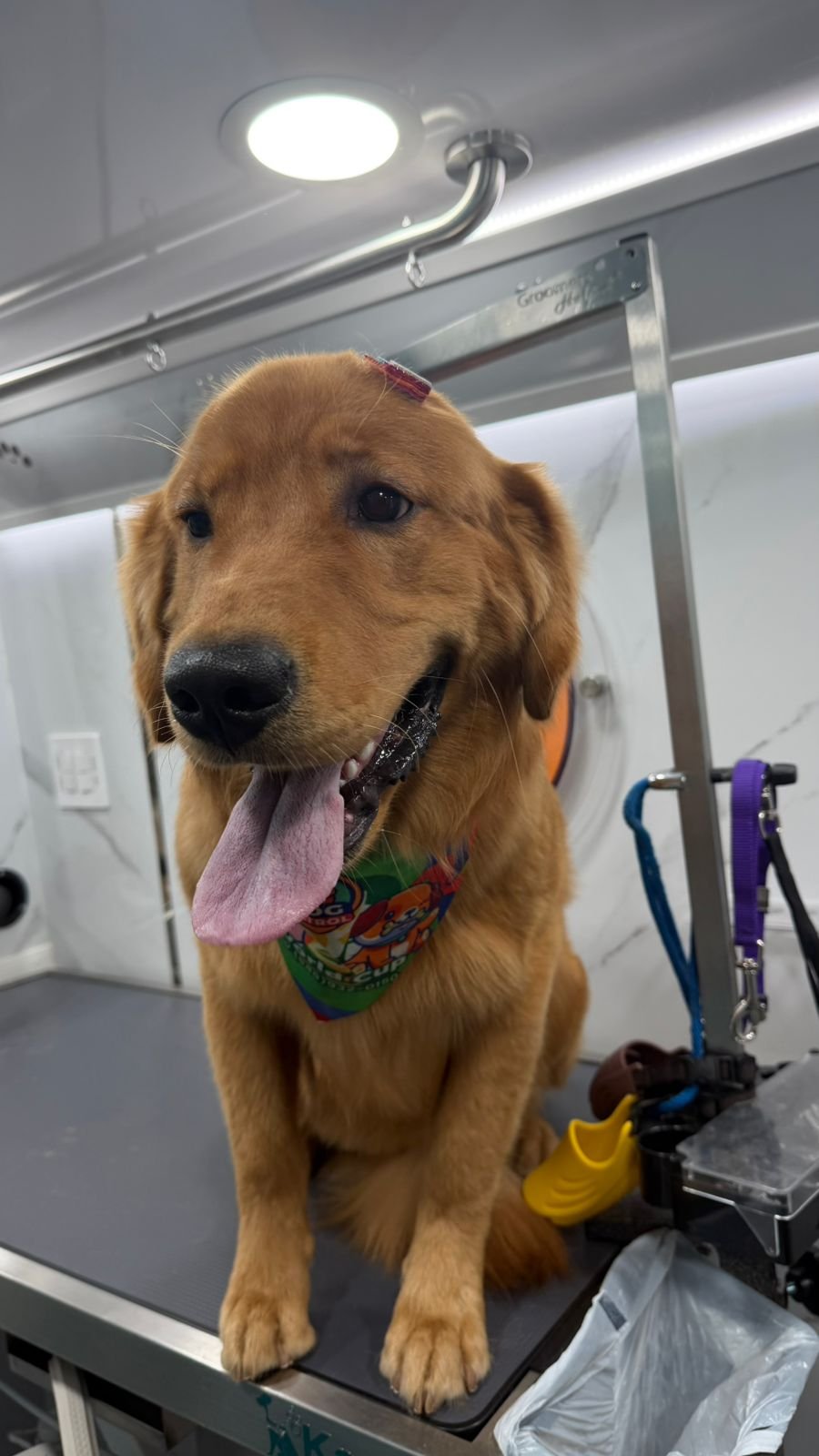 WhatsApp Image 2026-04-02 at 11.01.15